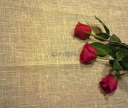 母親,母親節,媽媽
