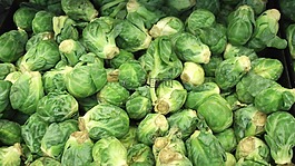 布魯塞爾萌芽,蔬菜,食品