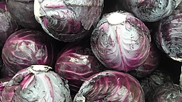 卷心菜,蔬菜,食品