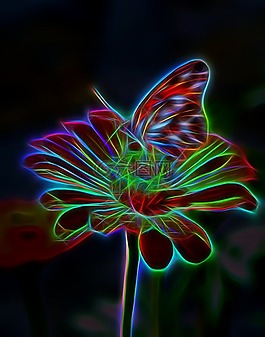 花,蝴蝶,光