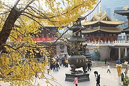 葉子,中國,葉