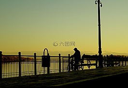 男子,自行车,骑