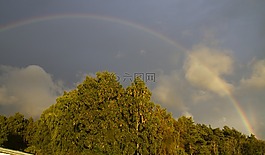 雨,彩虹,顏色
