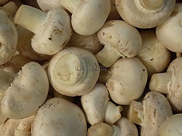 蘑菇,蔬菜,超市