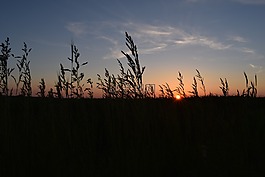 日落,太陽(yáng),天空