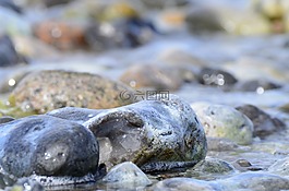石,海,自然