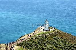 燈塔,海,新西蘭