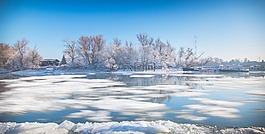 冬季,性質(zhì),雪