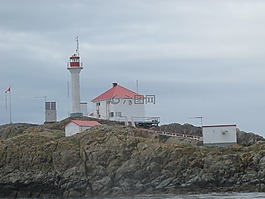 燈塔,石,海岸