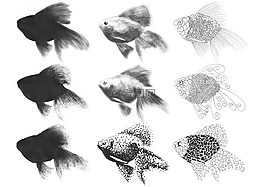 魚,睫毛膏,鋼筆