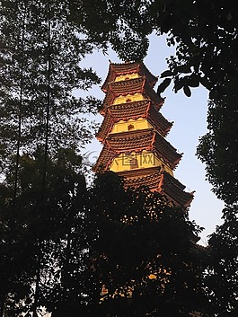 夕阳,黄金,塔