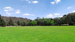 綠色,性質(zhì),花園