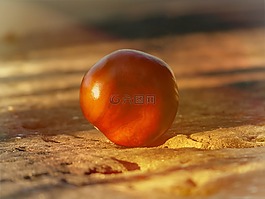 板栗,地面,石材地板