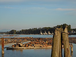 樹干,木材,河