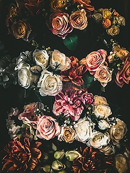 多彩,花,自然