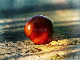 板栗,石材地板,雨