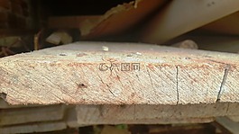 木材,tabua,建设