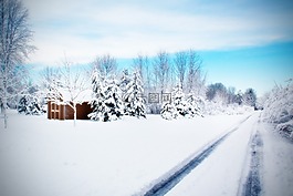 路,雪路,冬天