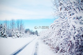 路,雪路,冬天