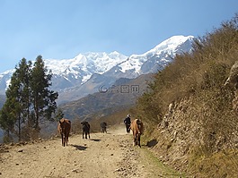 山區(qū),路,玻利維亞