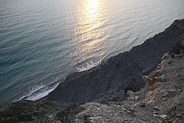 海灘,鮮花,巖