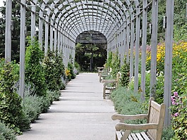 商場,花園,路面
