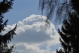 云,藍(lán)藍(lán)的天空,樹木