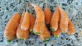 胡萝卜,红萝卜,块根