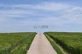 離,路,景觀
