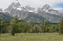 大提頓國家公園,山,盛大