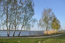 性質(zhì),春天,湖