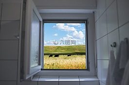 窗口,奶牛,牧场