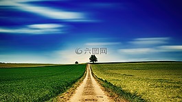 天空,全景,字段