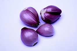 紅洋蔥蔬菜,蔬菜洋蔥,洋蔥