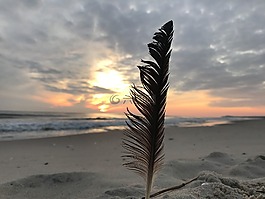 春天,日出,海灘