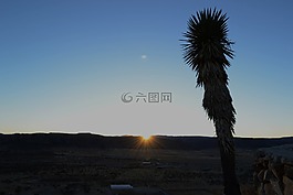 日落,沙漠,卡萨布兰卡