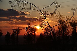 夕陽,落日,風景