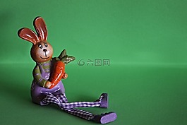 野兔,胡蘿卜,可愛