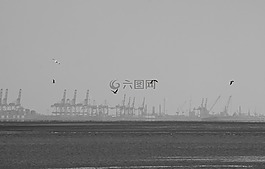 海鸥,不来梅港,端口