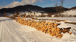 柴,冬天,雪