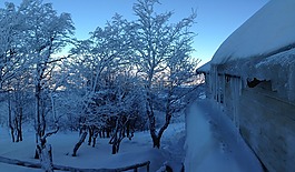 雪,冬天,凍結(jié)