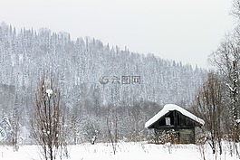 房子,谷仓,小屋