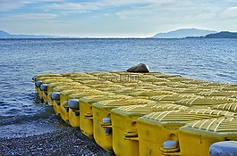 湖,傳播,冷