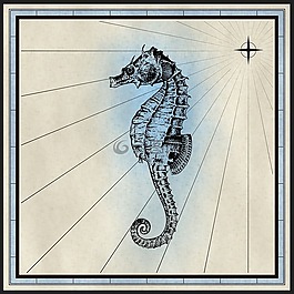 海馬,魚,動(dòng)物