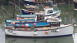 船,海港,水