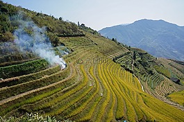 中國(guó),水稻梯田,秋季