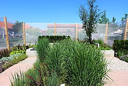 landesgartenschau馬車(chē),植物,草