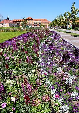 landesgartenschau馬車,植物,鮮花