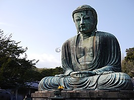 buddha,temple,solemn