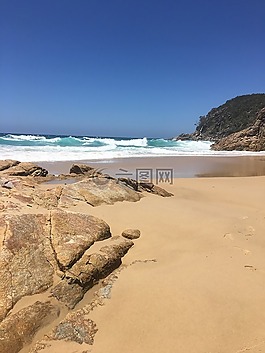 海滩,夏天,沙